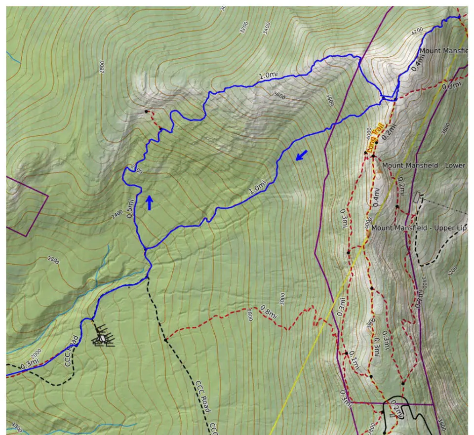 MT Mansfield Boucle