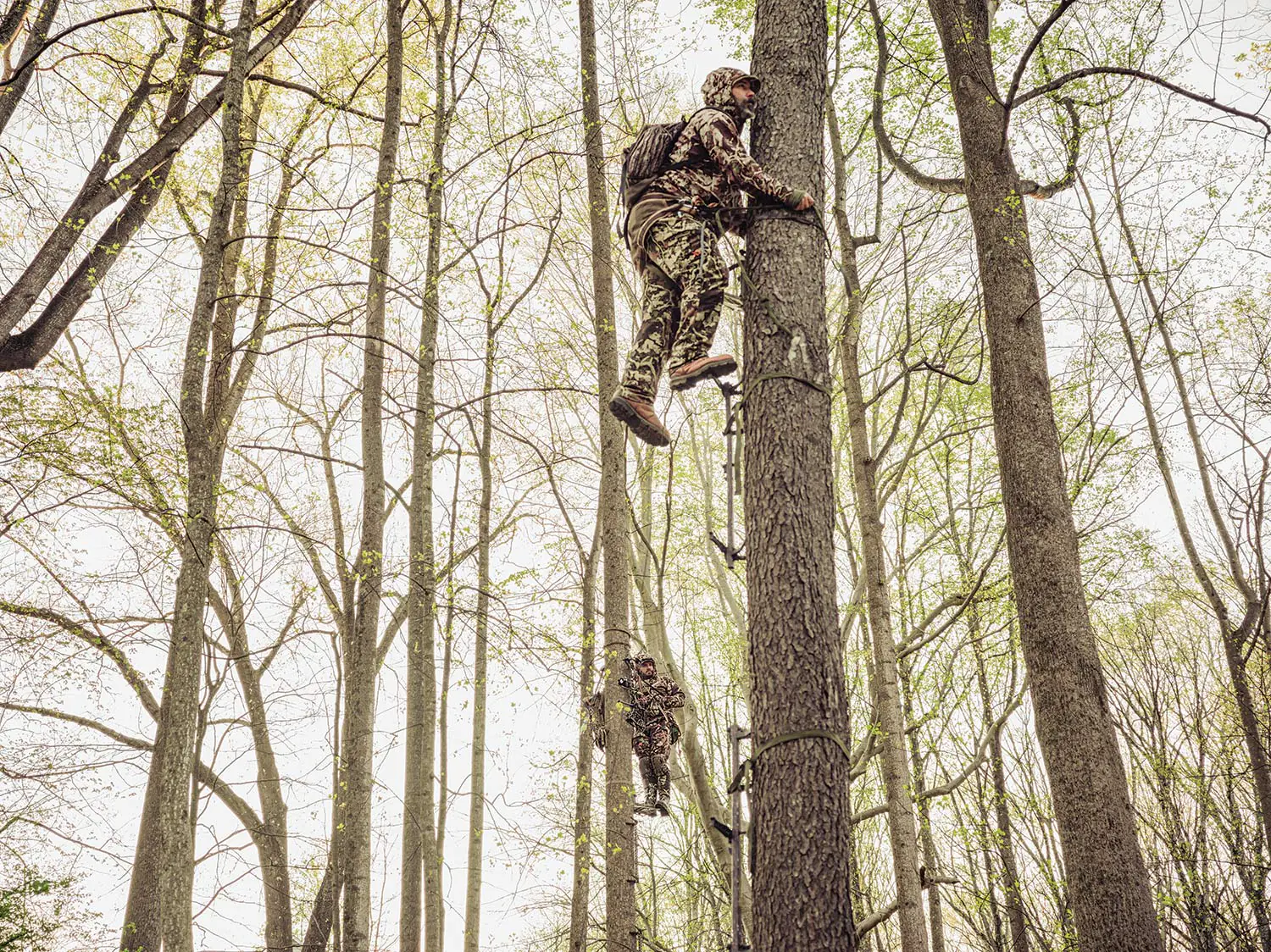 Deux chasseurs utilisent des grimpeurs pour grimper aux arbres dans les bois.