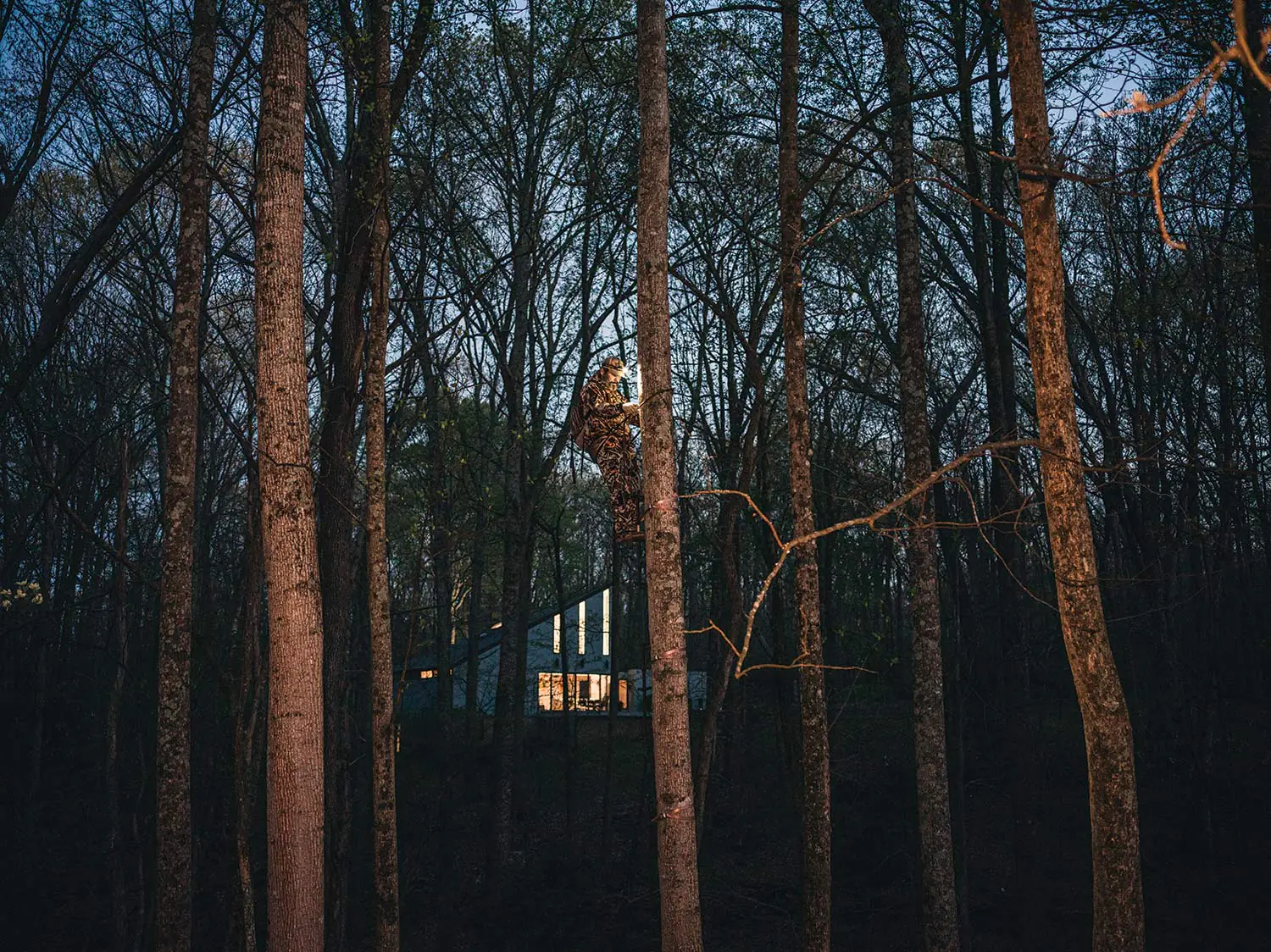 Un chasseur grimpe un arbre dans sa cour arrière pour la chasse nocturne.