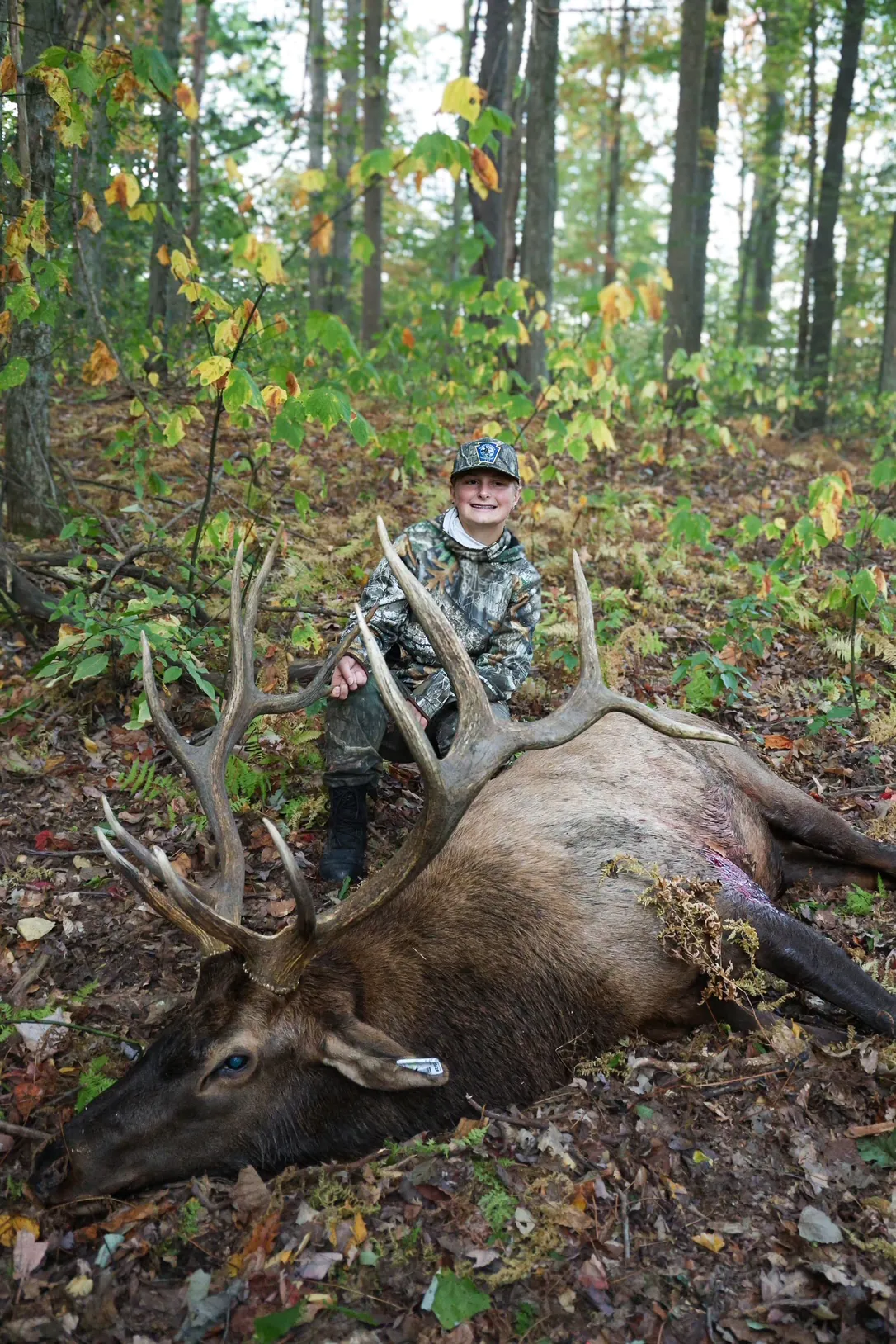 Le plus jeune chasseur de tous les temps à étiqueter un wapiti de taureau en pa est derrière son taureau.