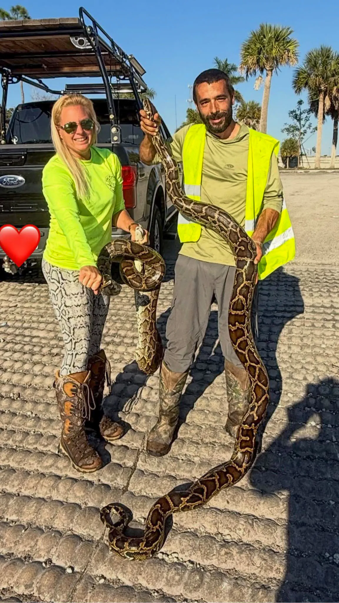 Deux Huntesr en jaune de sécurité tiennent un gros python.