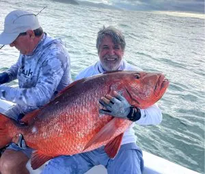 Cette «bête» d'un vivaneau devrait établir un nouveau record du monde