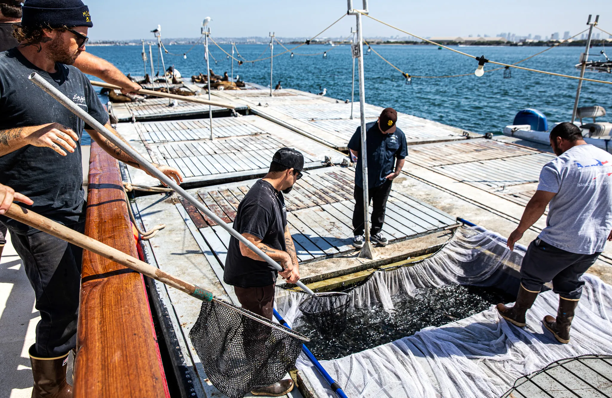 Deux mecs ramassent l'appât sur un quai à San Diego.