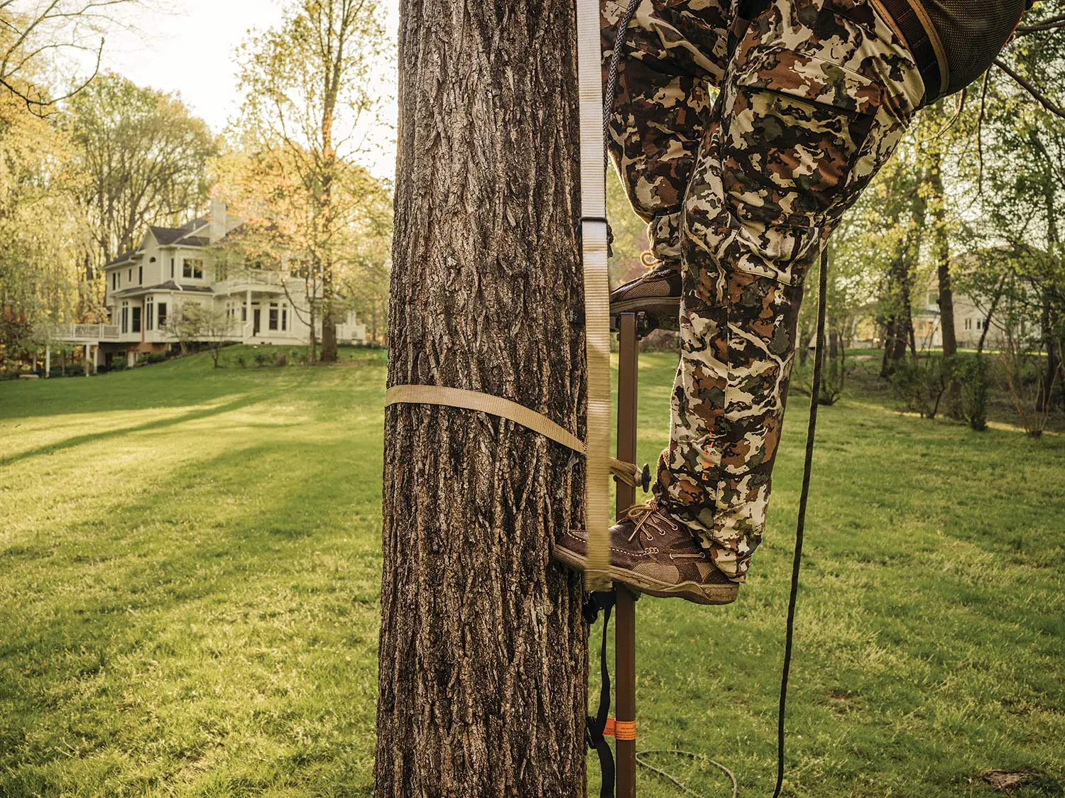 Un chasseur utilise un support d'arbre dans sa cour arrière en banlieue.