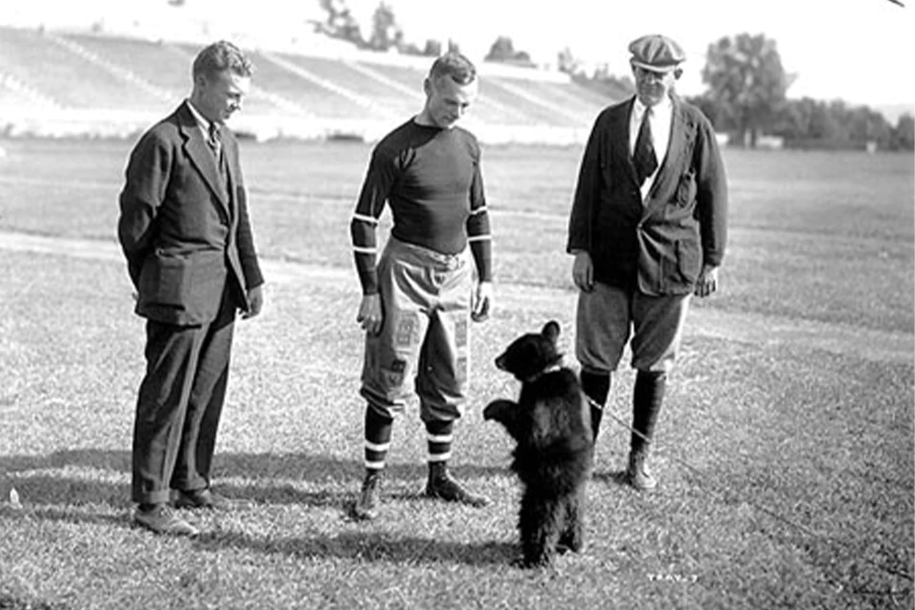 Une photo historique de la première mascotte en direct de l'Université Cornell.