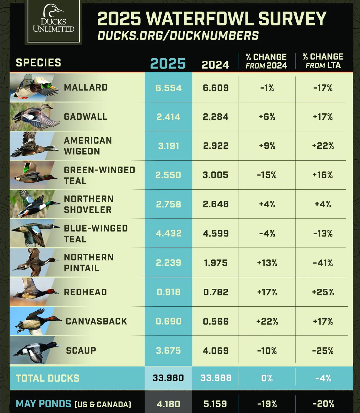 Un tableau de Ducks Unlimited montrant les changements dans les populations de canards pour 2025.