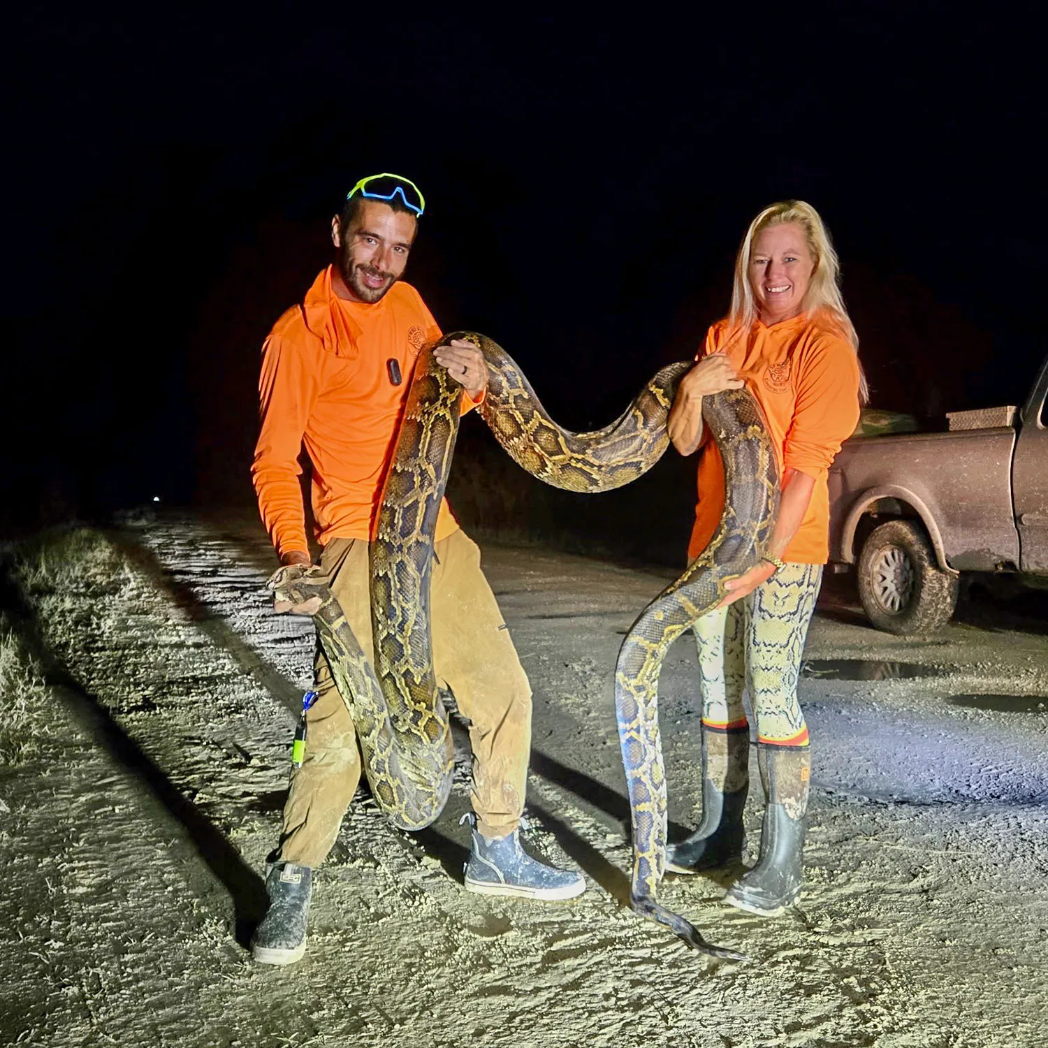Deux chasseurs de Python tiennent un gros serpent qu'ils ont pris dans les Everglades.