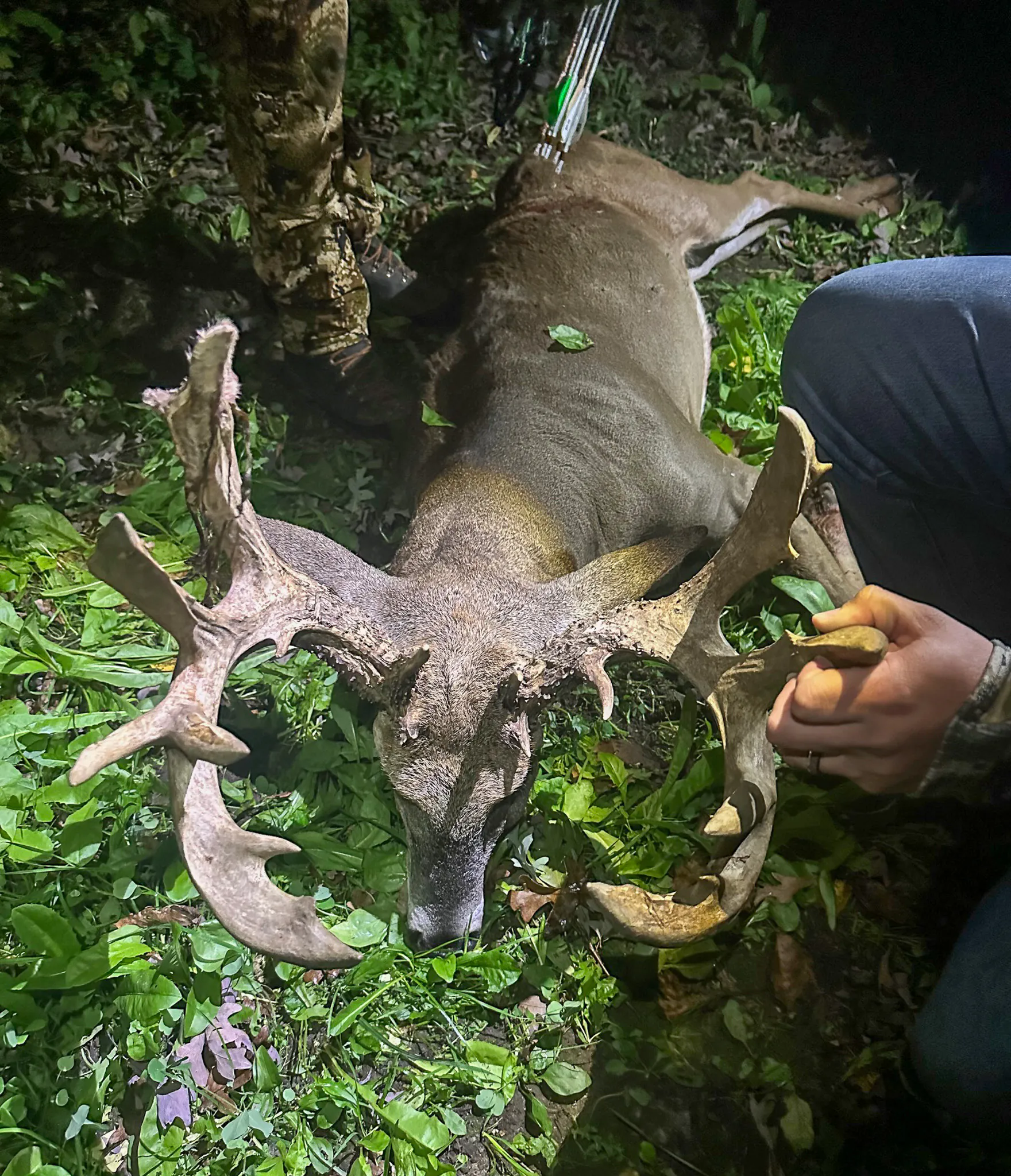 Un grand et lourd glissé dans une parcelle de nourriture verte