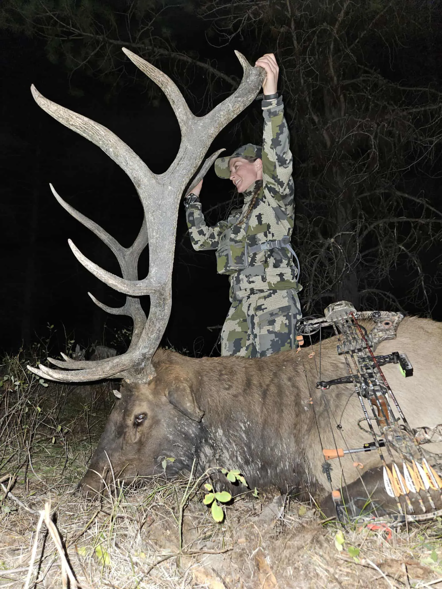 Un chasseur à l'arc se tient derrière un joli gros taureau.