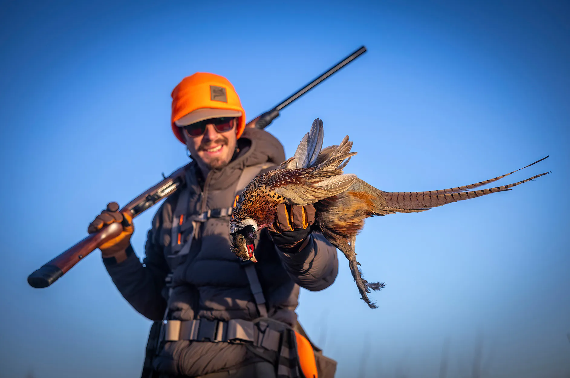 Un chasseur d'oiseaux brandit un faisan sauvage.