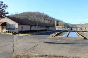 L’Arkansas réduit la récolte de truites sur les célèbres eaux arrière alors que les principales écloseries s’effondrent