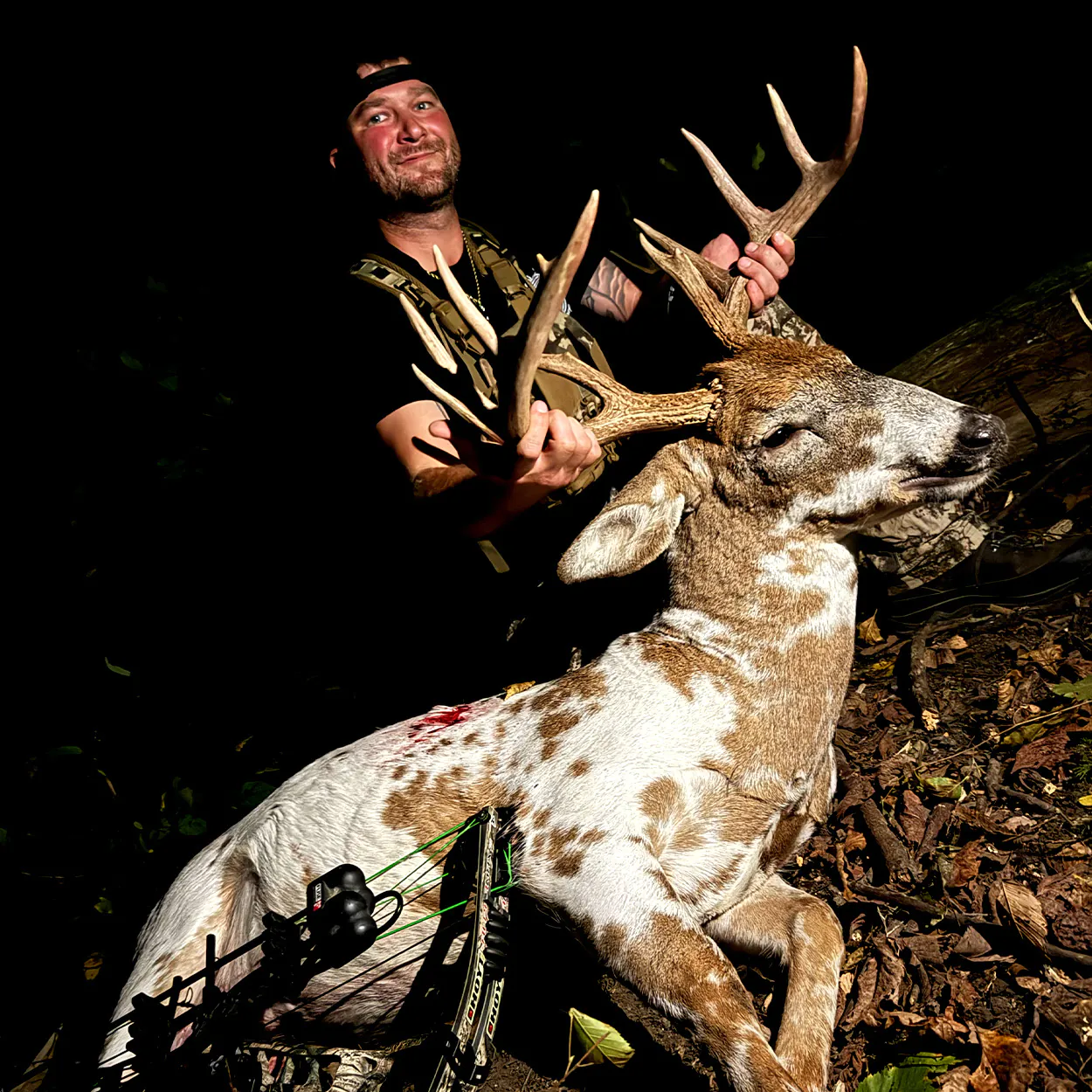 Un chasseur à l'arc brandit un mâle pie.