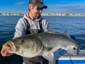 Podcast Quick Strike : utilisez ce poisson-appât clé pour attraper le bar de votre vie