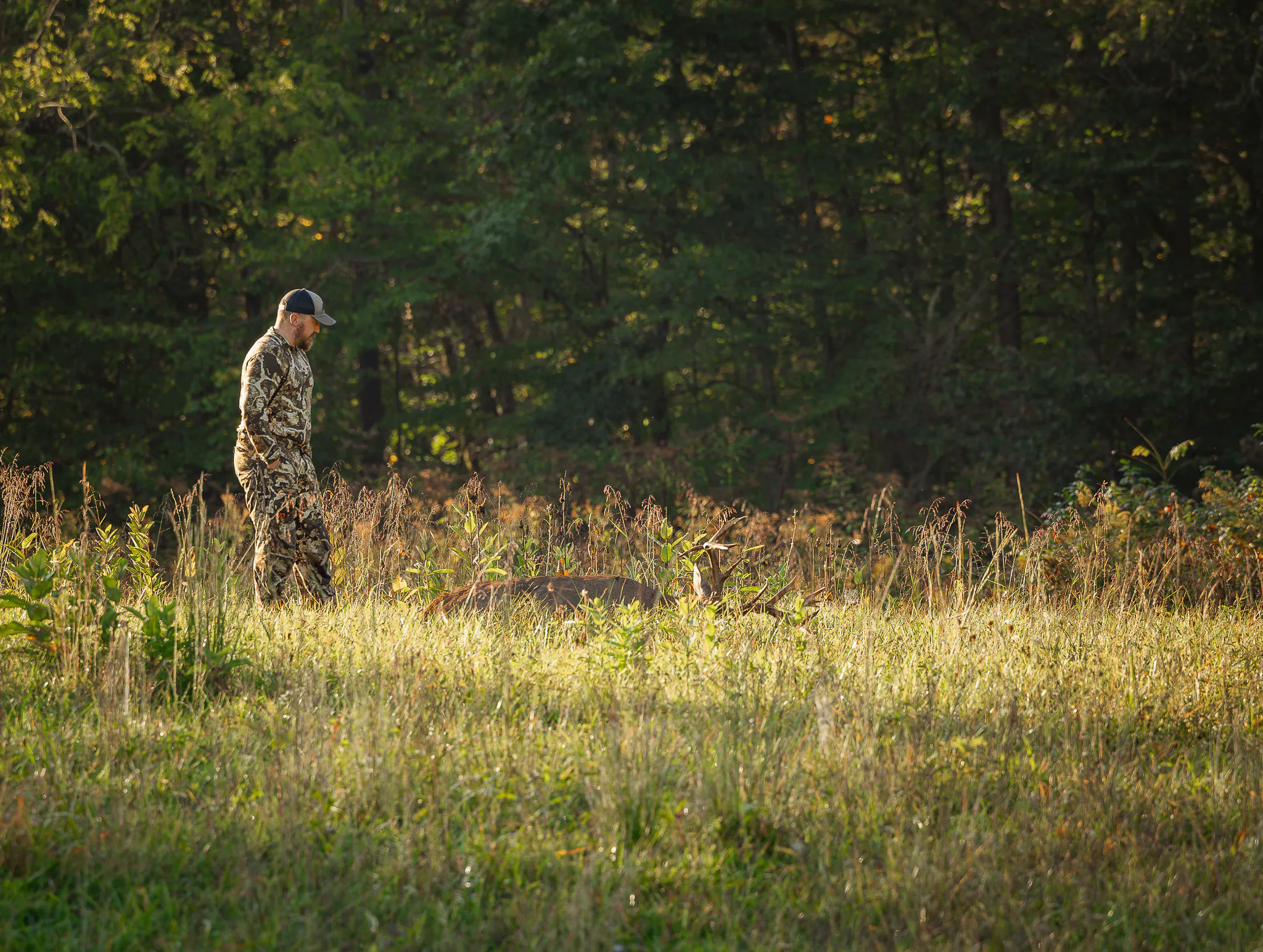 Un chasseur s'approche d'un gros mâle tombant dans un champ herbeux.