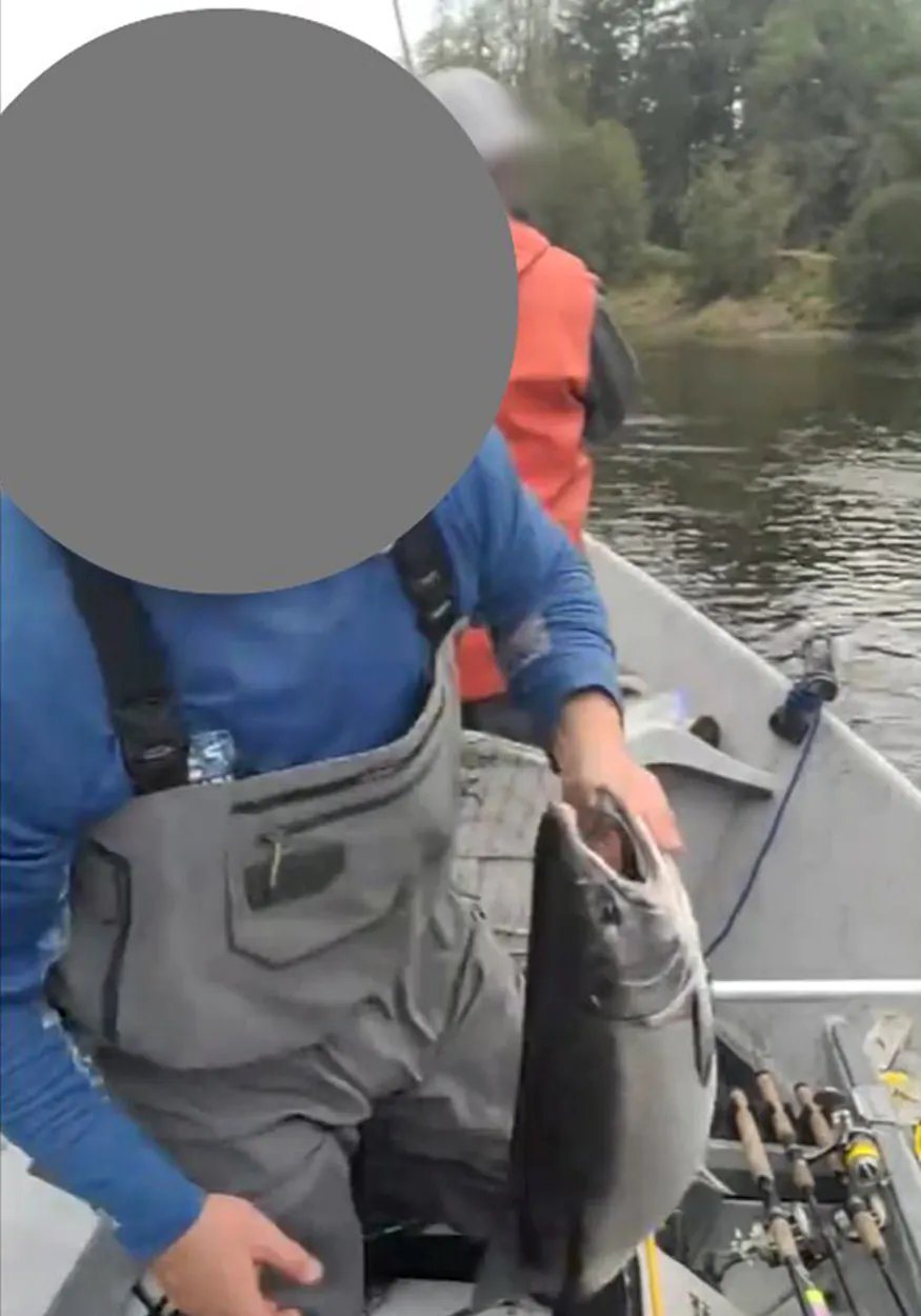 Un pêcheur flou tient un saumon argenté.