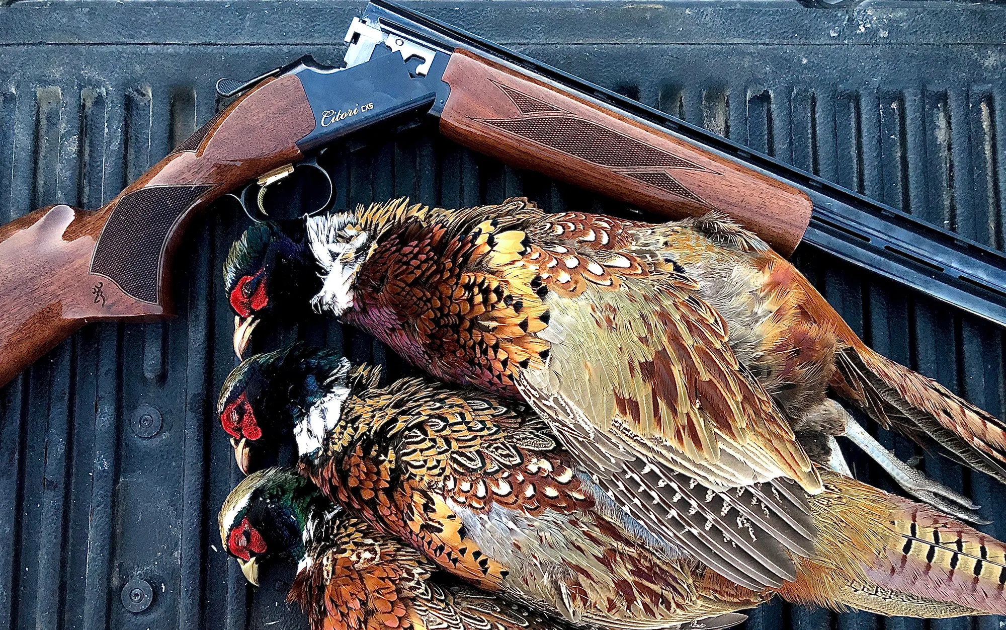 Le Browning Citori CXS se trouve sur le hayon avec des coqs.