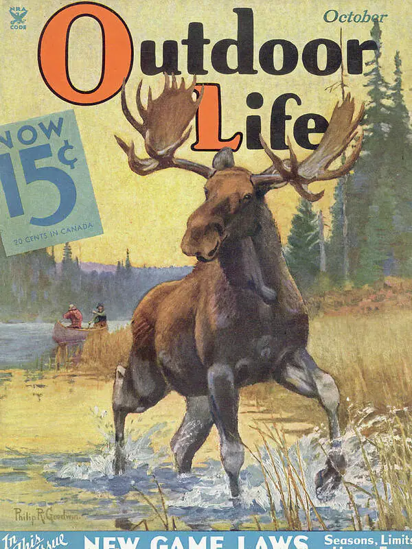 Un gros orignal mâle en couverture d’Outdoor Life