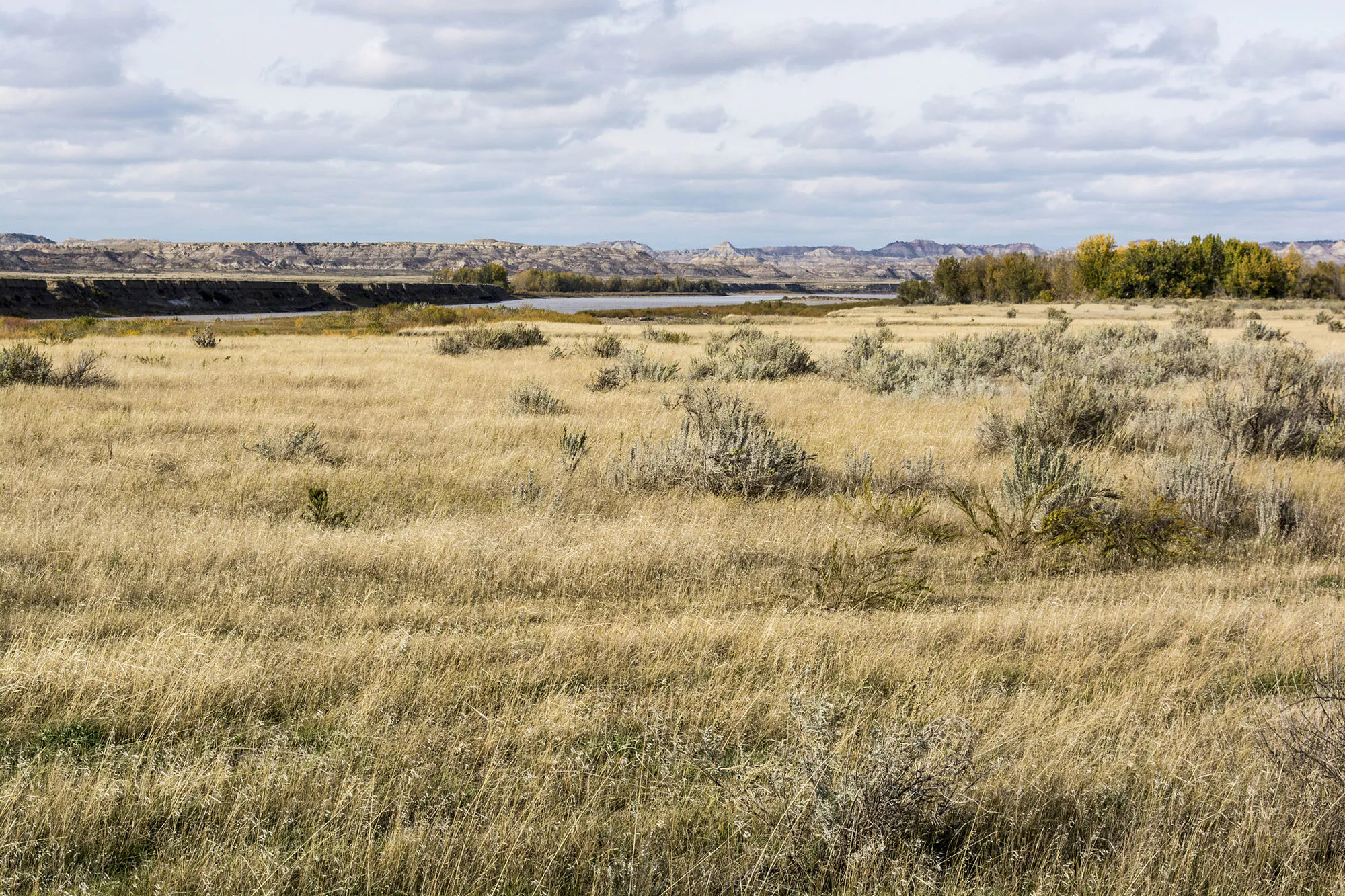 Prairies du Montana
