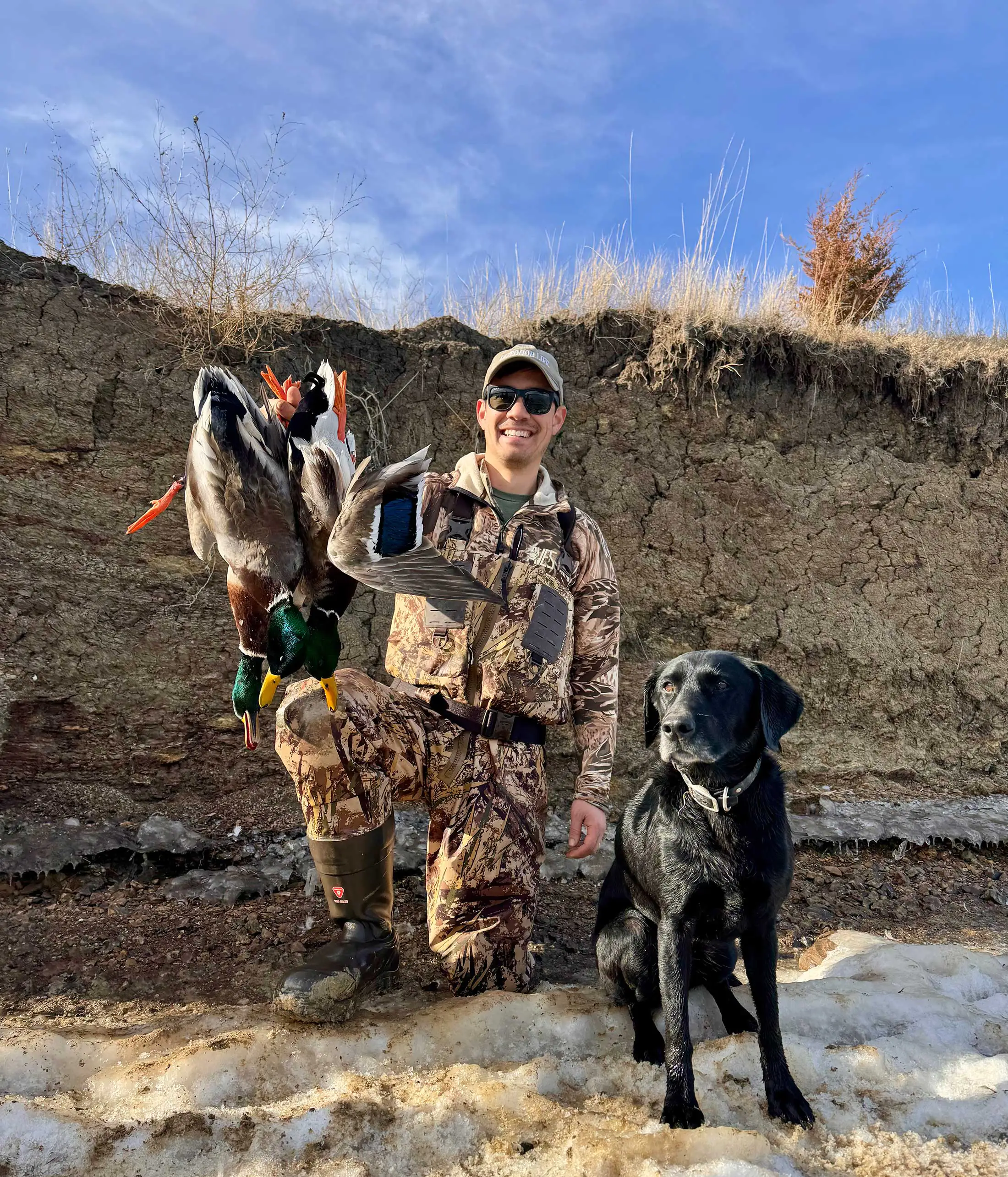chasse au canard