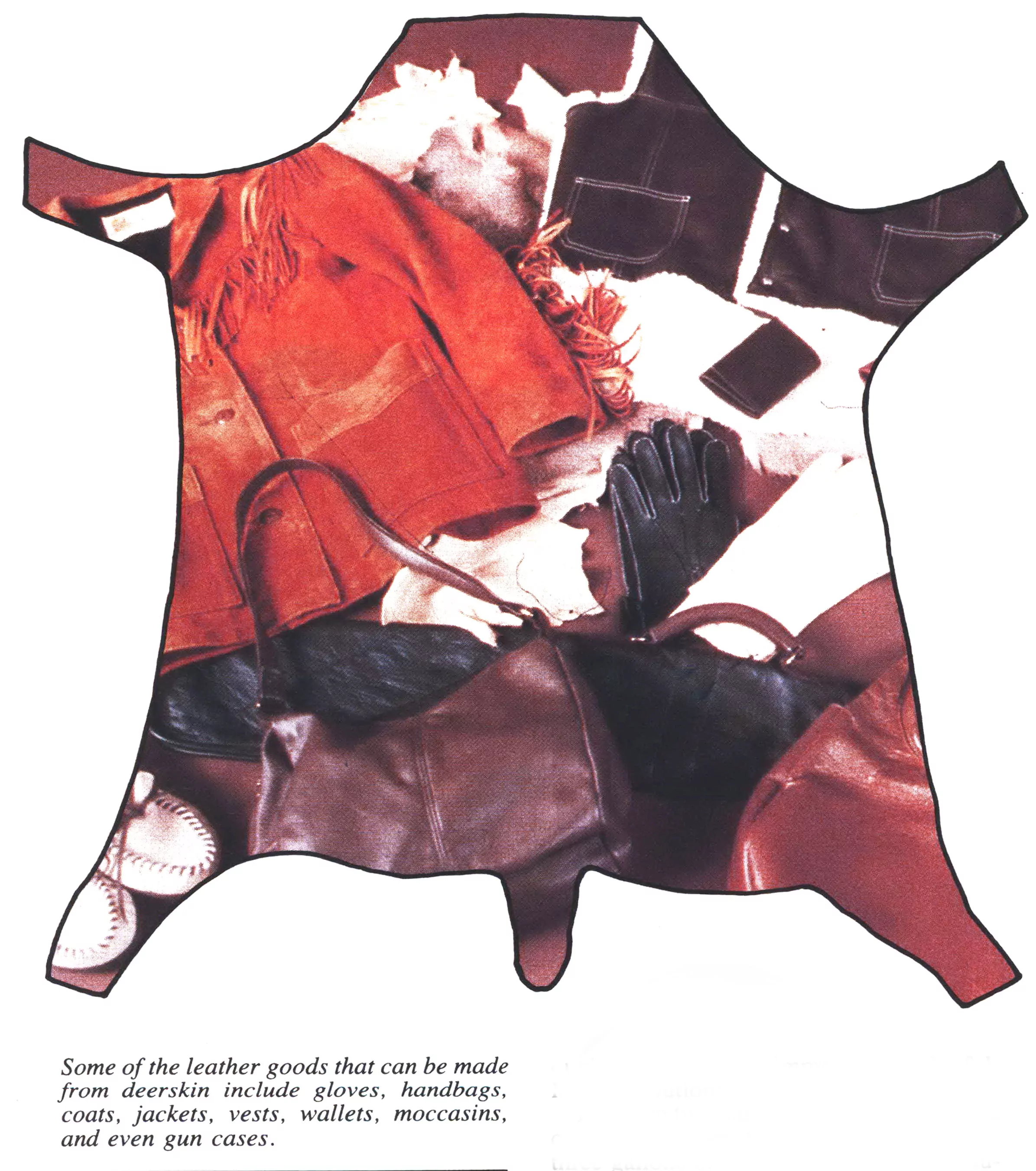 peaux de cerf