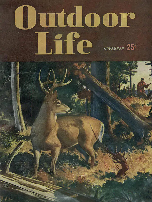 Une vieille couverture de vie en plein air