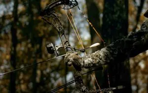 Examen du Mathews ARC 30 : voici pourquoi le nouvel arc est meilleur que le Lift X