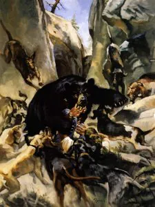 Un ours noir a essayé de tuer mes chiens. Puis ça s'est retourné contre moi