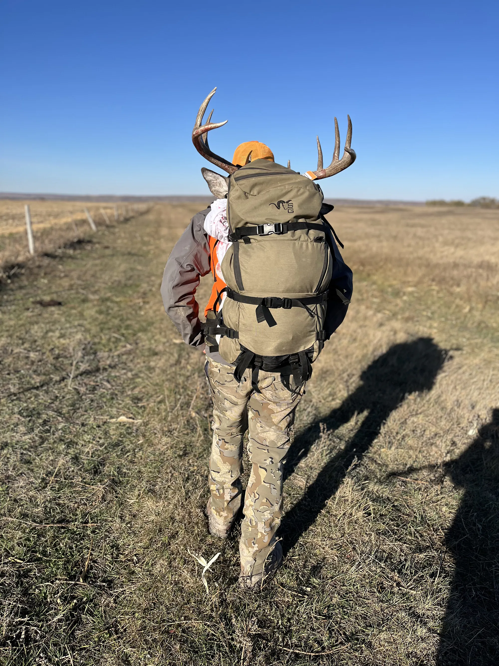 chasse au cerf