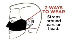 diagramme du visage et du gant