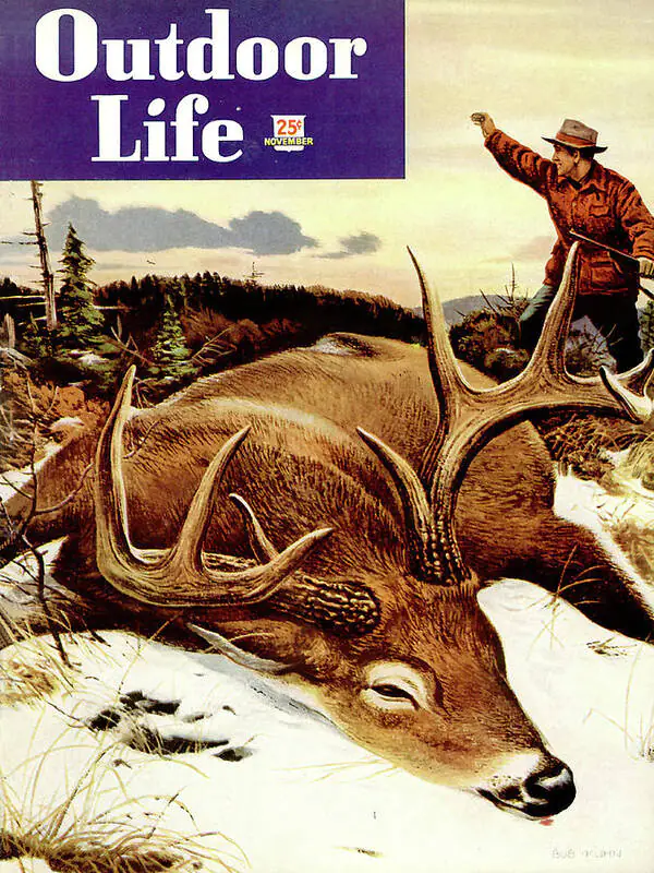 La couverture du magazine Outdoor Life de novembre 1948 montre un chasseur récupérant un joli mâle.