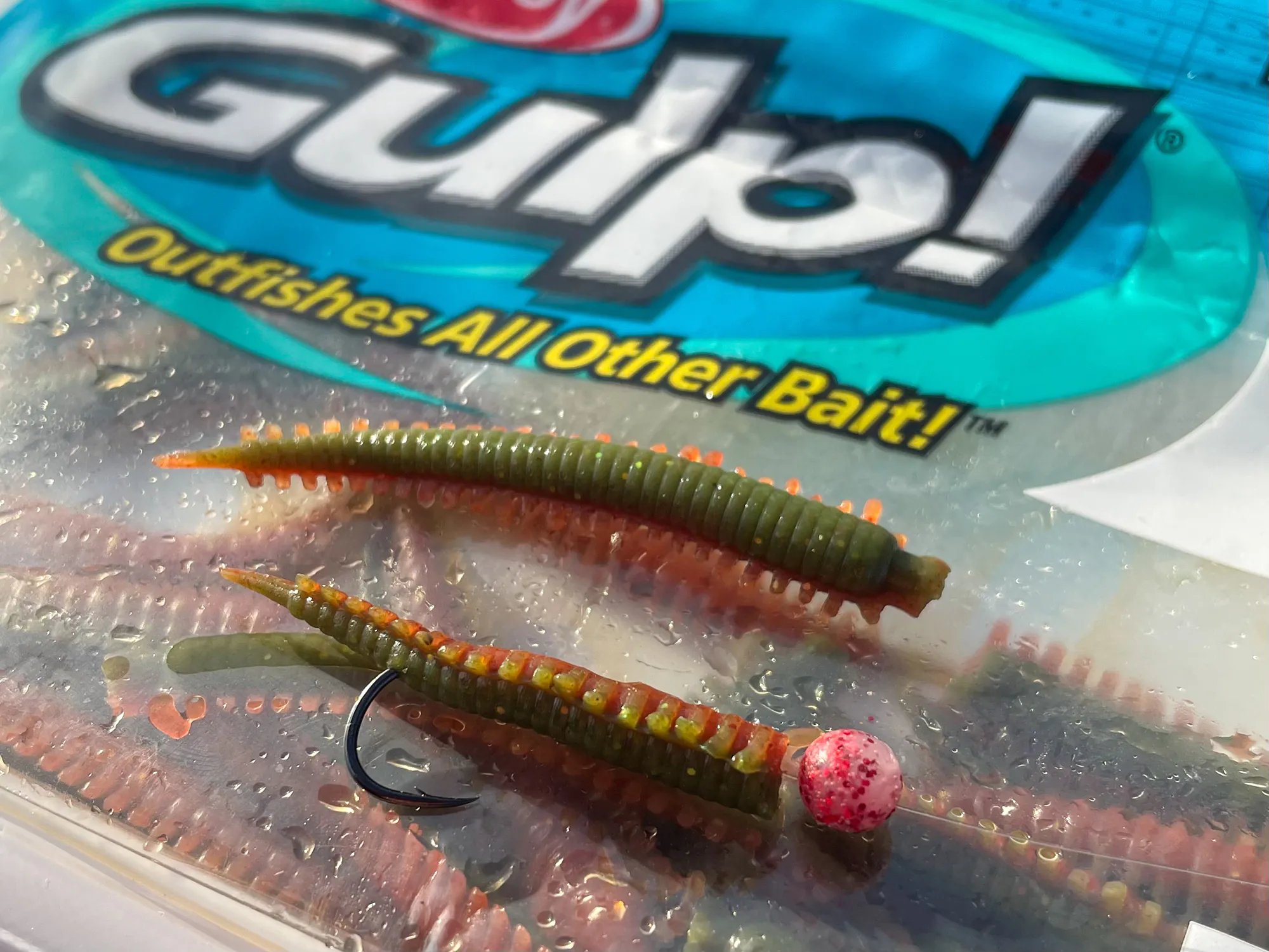 Appât Gulp Sandworms pour perche de surf