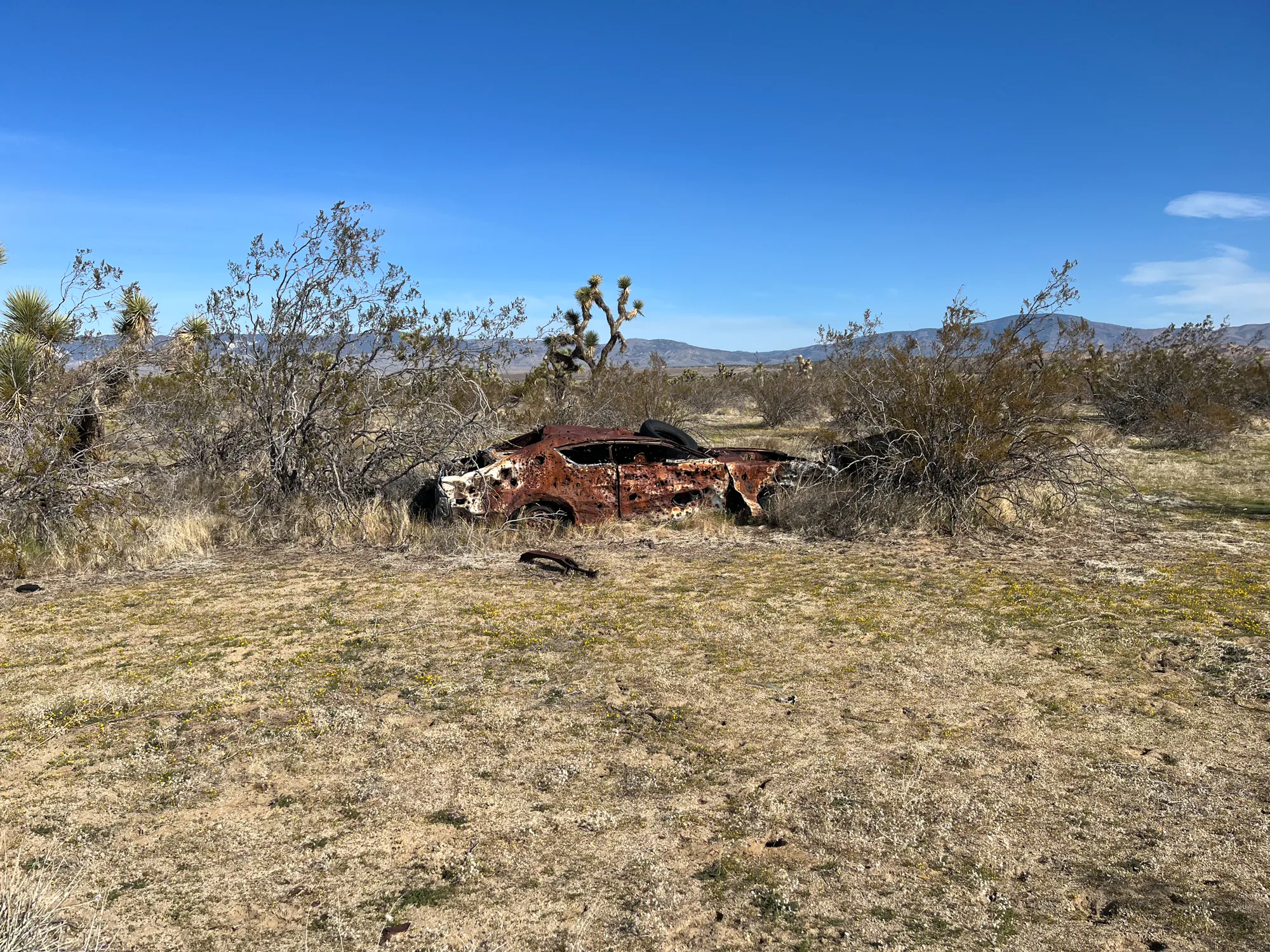 Une vieille carrosserie rouillée dans les broussailles d'Antelope Valley.