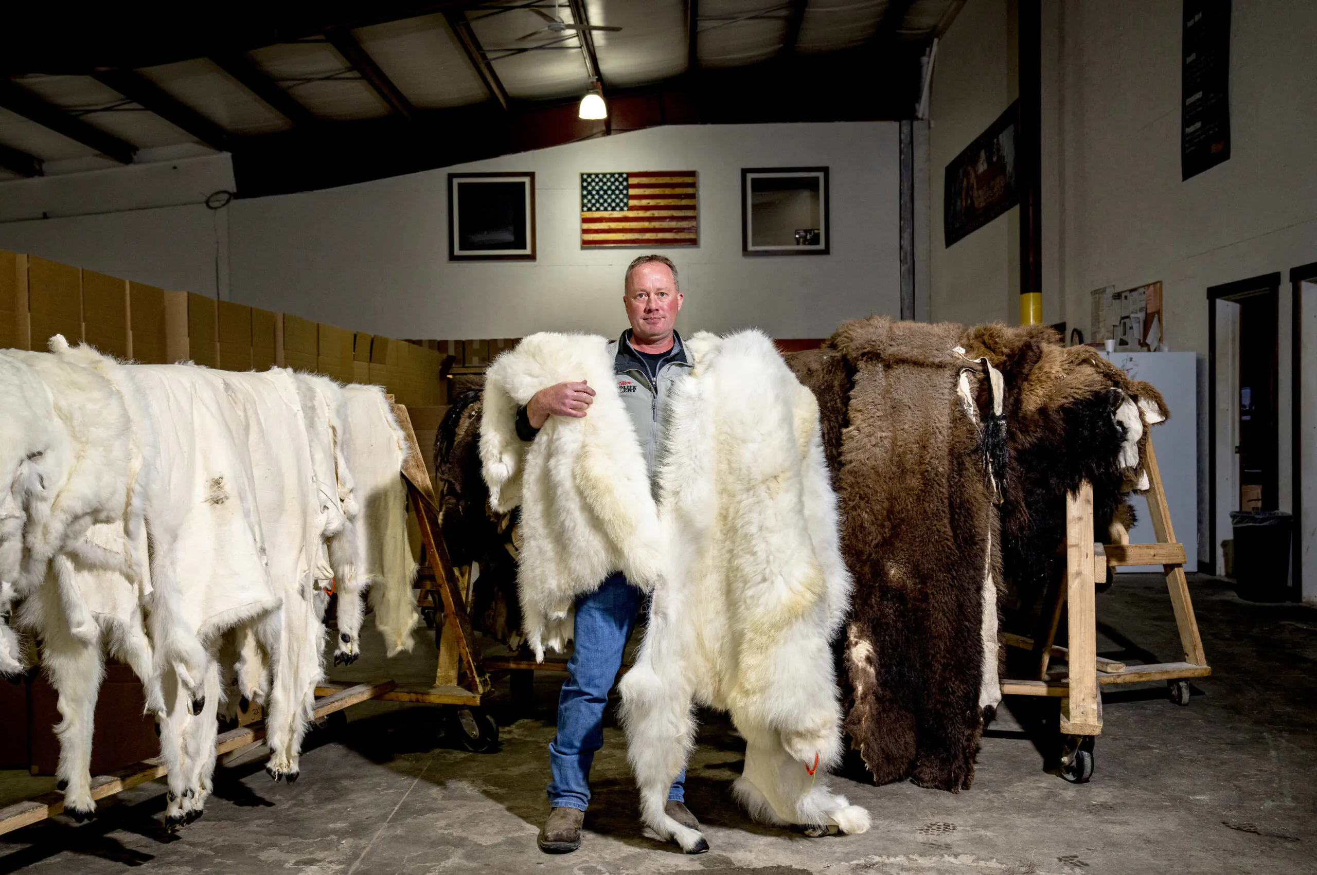 Vice-président de la Wildlife Gallery avec des peaux de mouton.