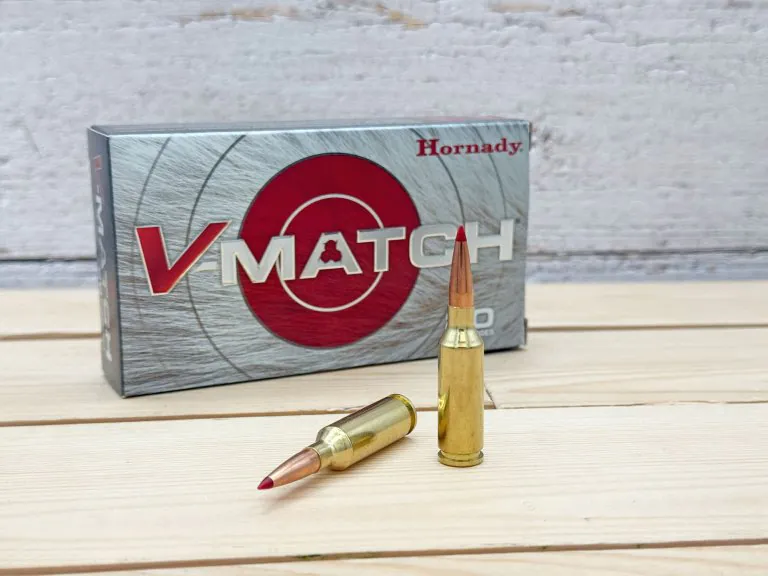 22 meilleurs calibres de coyote à arc