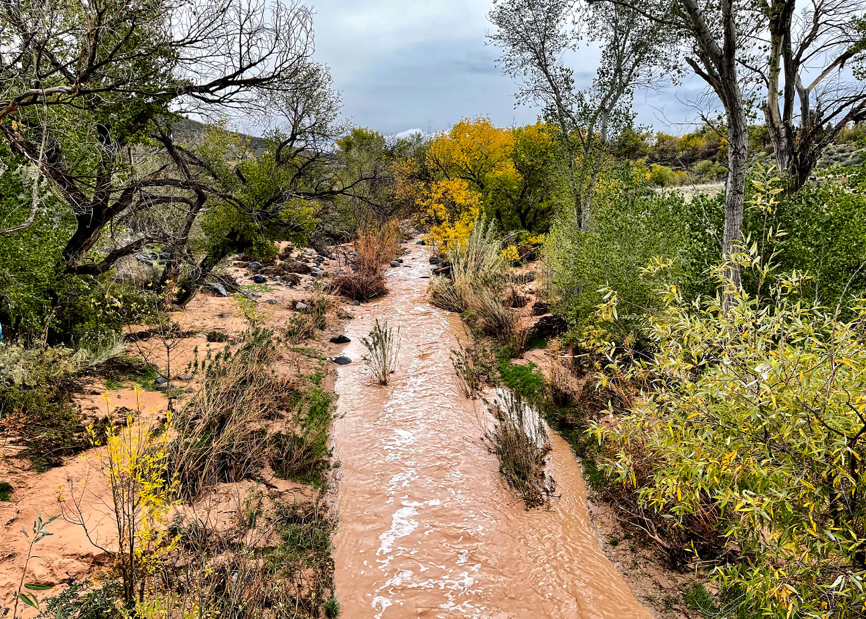 Un ruisseau désertique en crue dans l’Utah.