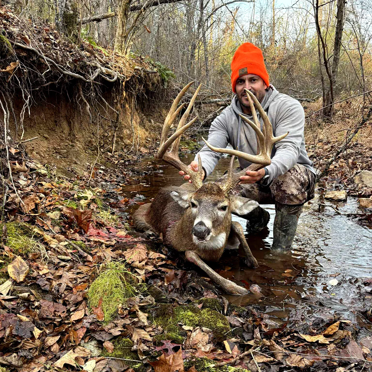 Un chasseur brandit un cerf dans le lit d'un ruisseau.