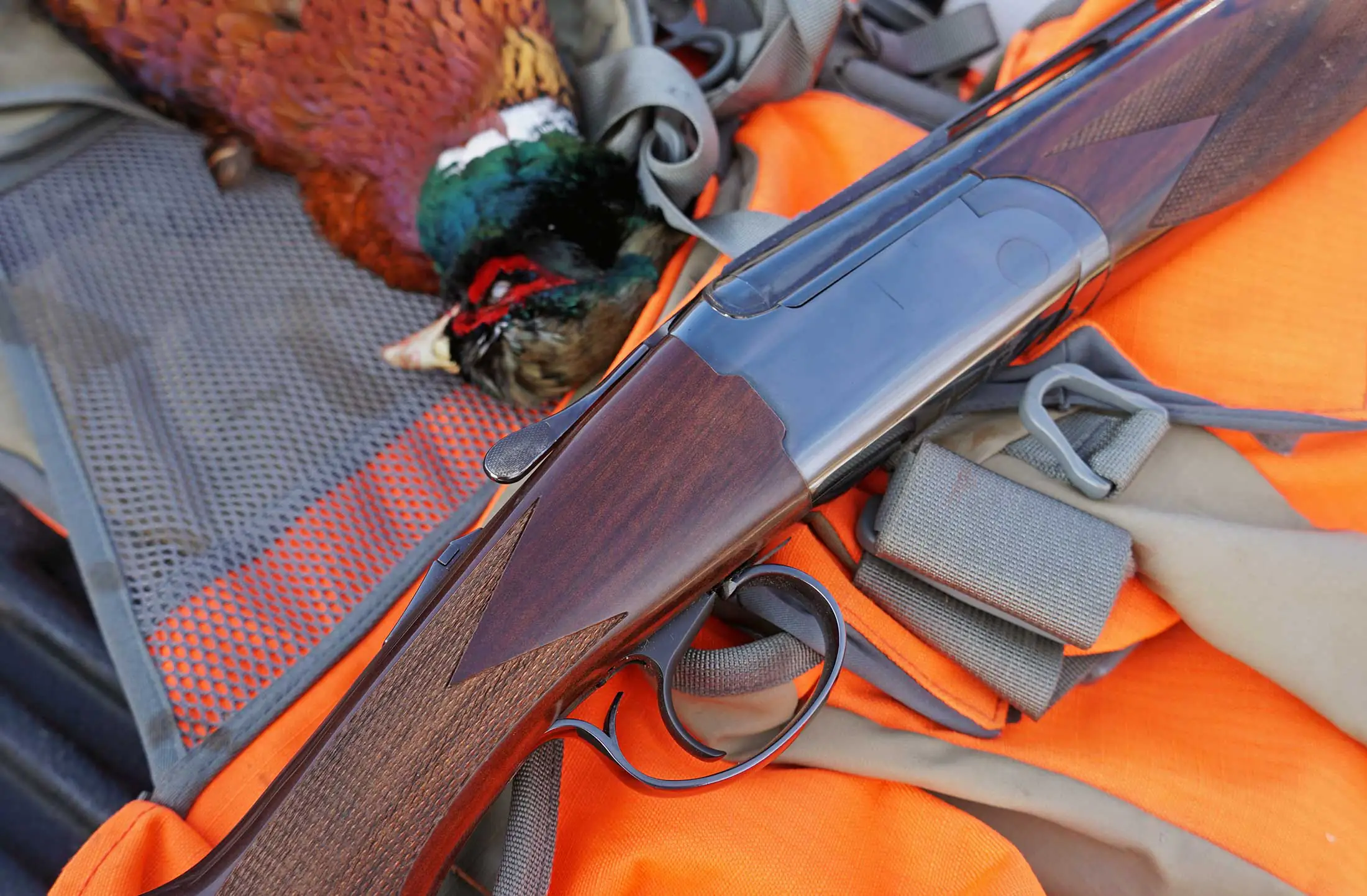 Ruger étiquette rouge III