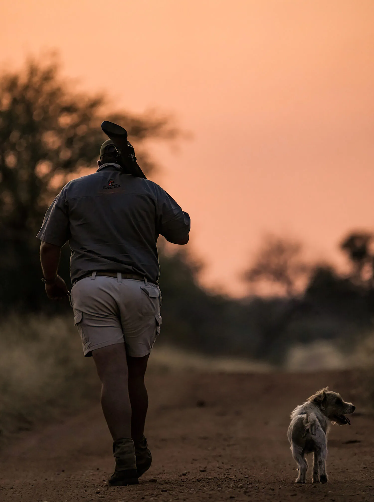 un chasseur et un chien marchent sur un chemin de terre alors que le coucher du soleil crée un ciel rose