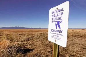 Le ministère de l'Intérieur envisage d'ouvrir toutes ses terres publiques à la chasse et à la pêche – à moins qu'elles ne soient spécifiquement fermées par les gestionnaires du site