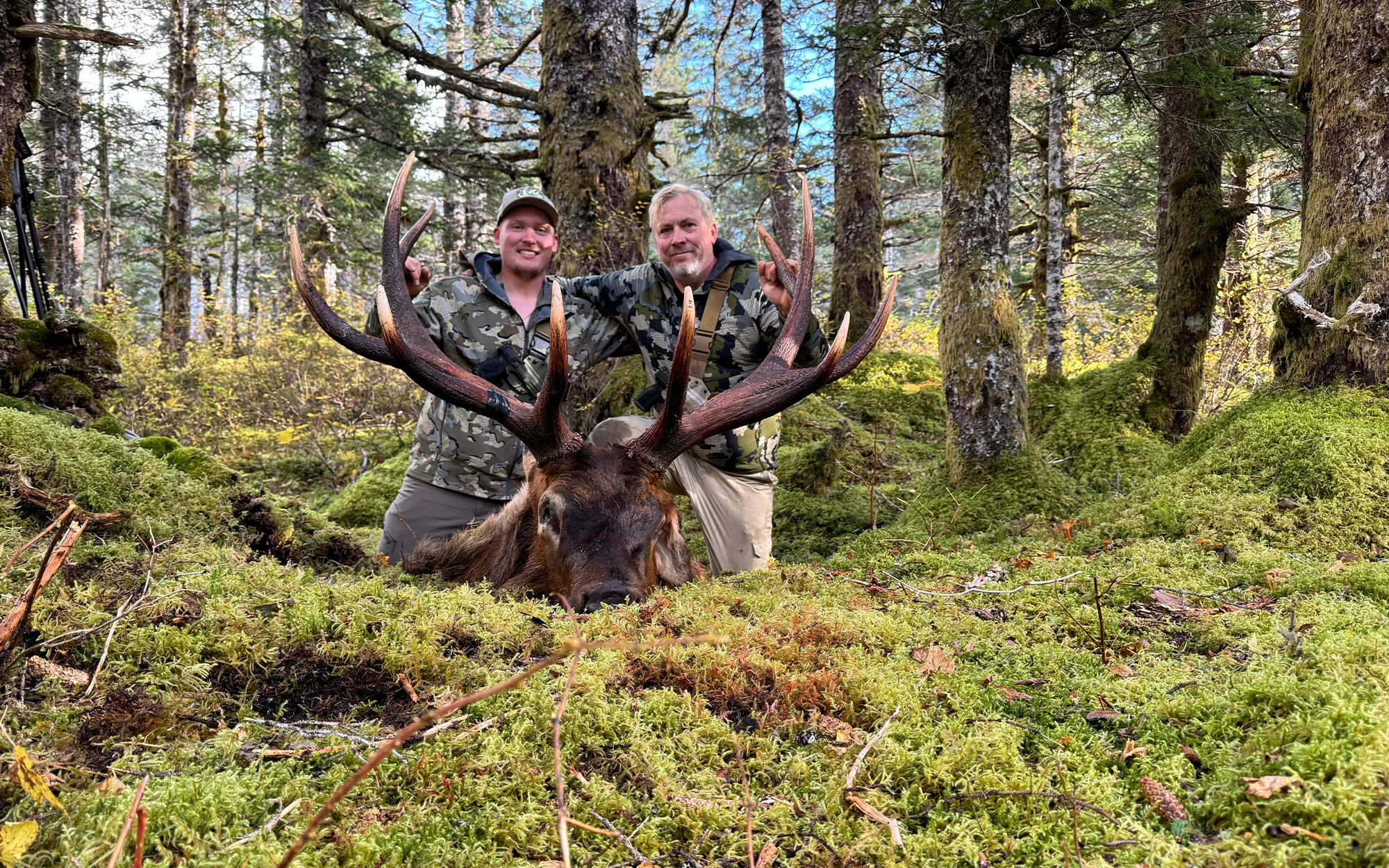 Deux chasseurs avec un énorme wapiti mâle en Alaska.