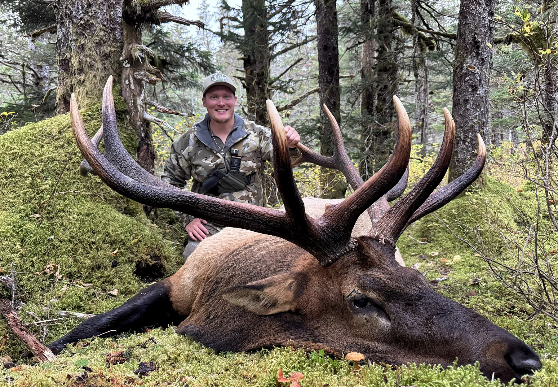 Un énorme wapiti mâle pris en Alaska.