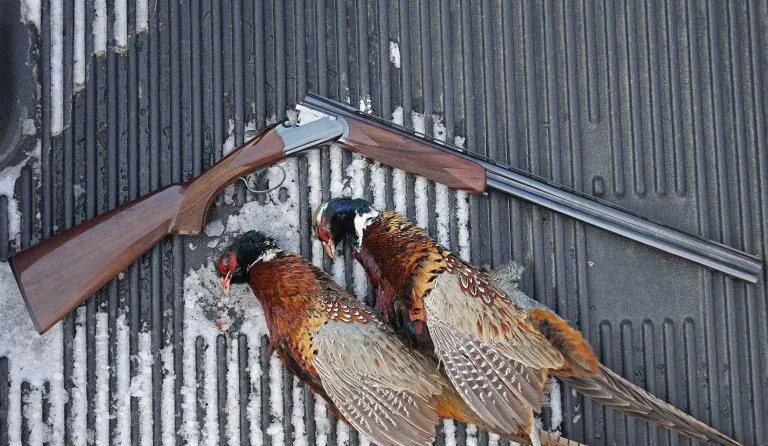 Ruger étiquette rouge III