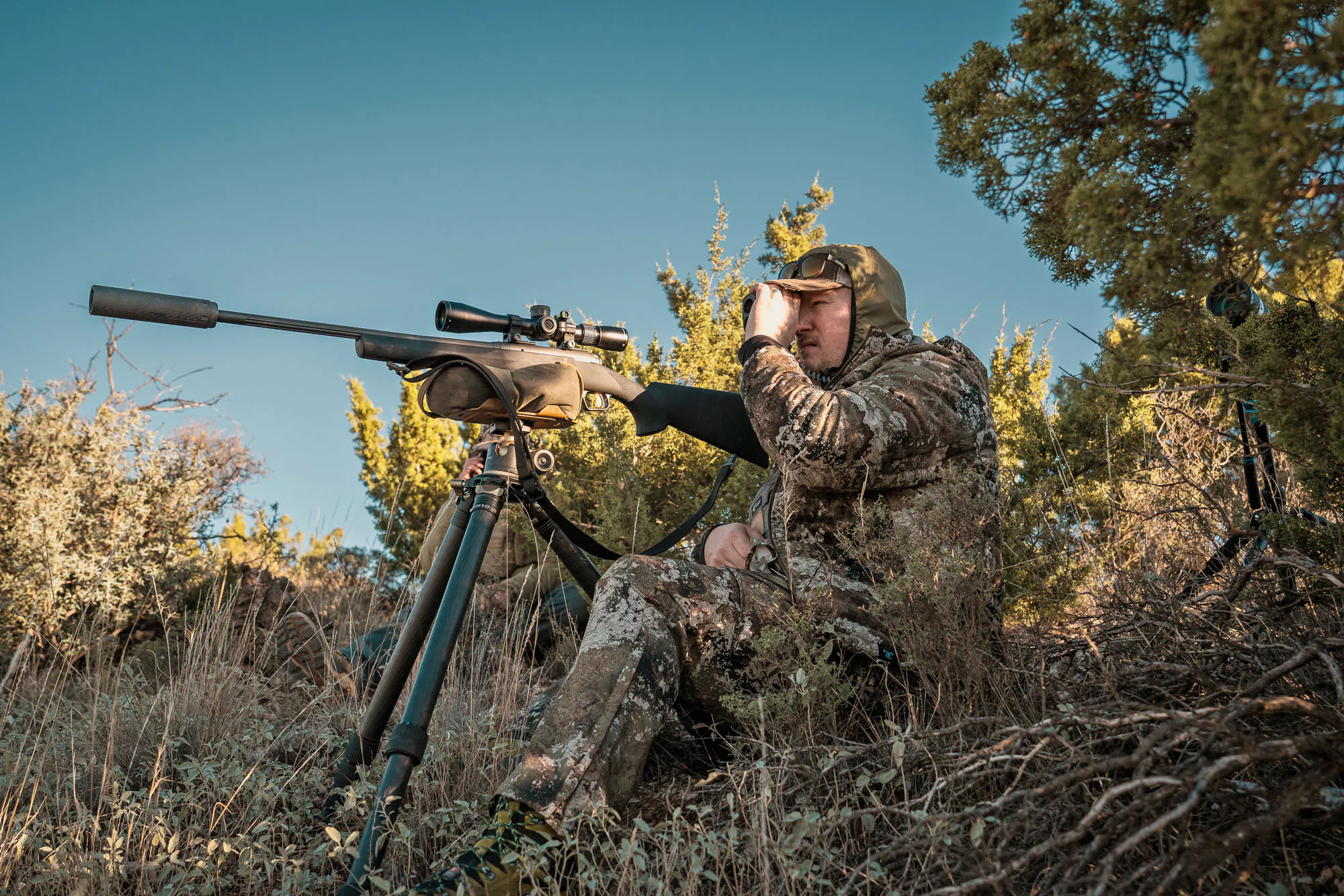 chasse au cerf avec un .223
