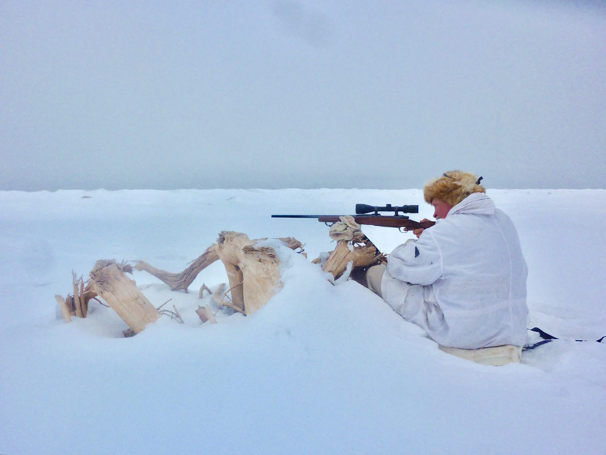 chasse au coyote lac supérieur