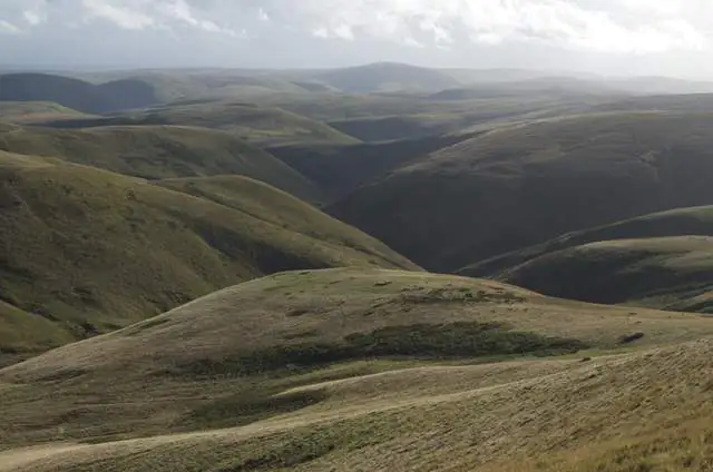 Les Cheviots