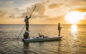 "Ce sont des dirigeants milliardaires qui cherchent à faire taire les critiques du public." Un projet de loi en Floride empêcherait les défenseurs de l'environnement de dénigrer l'industrie de la canne à sucre