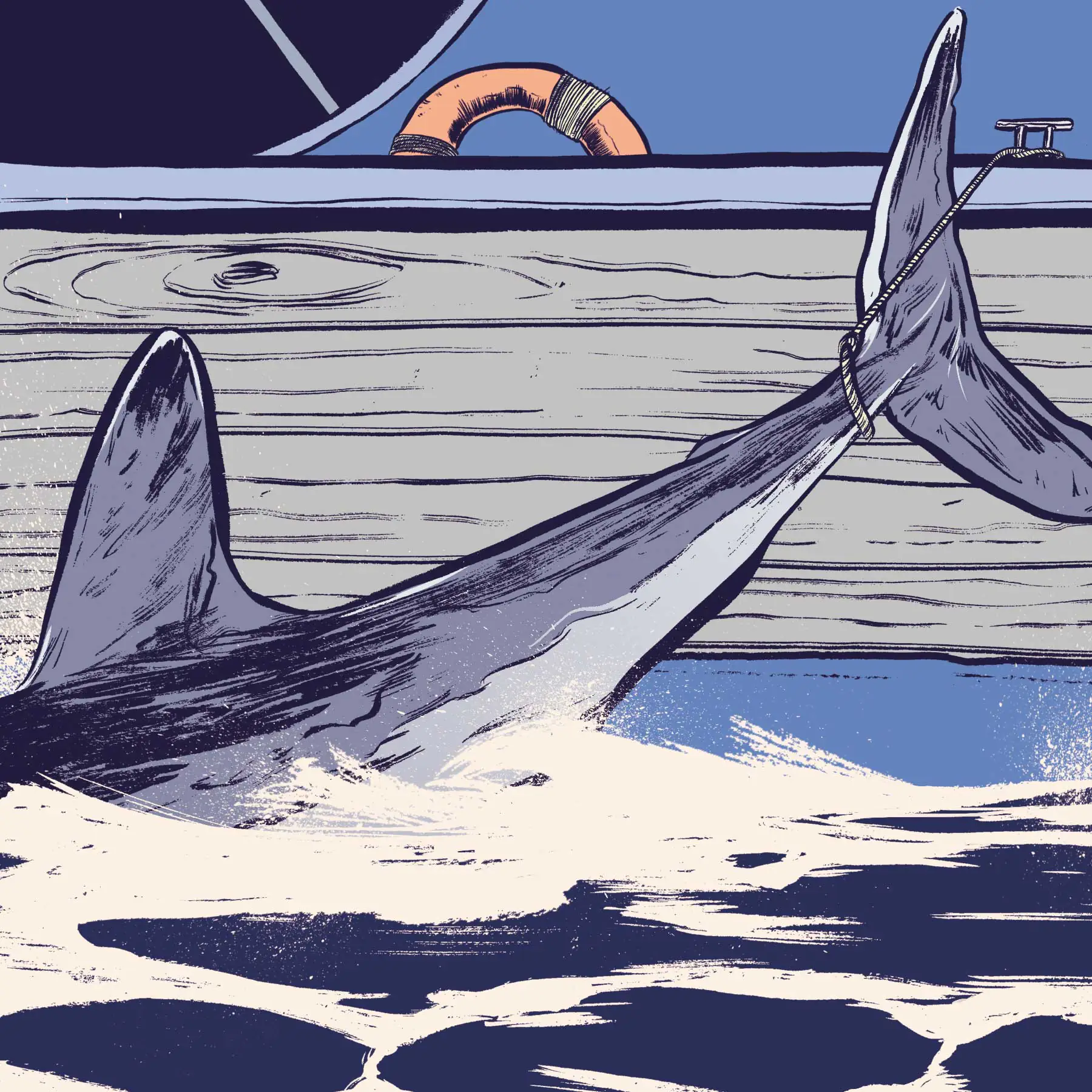 pêche au requin