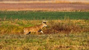 Les législateurs de l'Indiana décident d'abolir la Commission des ressources naturelles, permettant ainsi l'adoption de réglementations sans surveillance