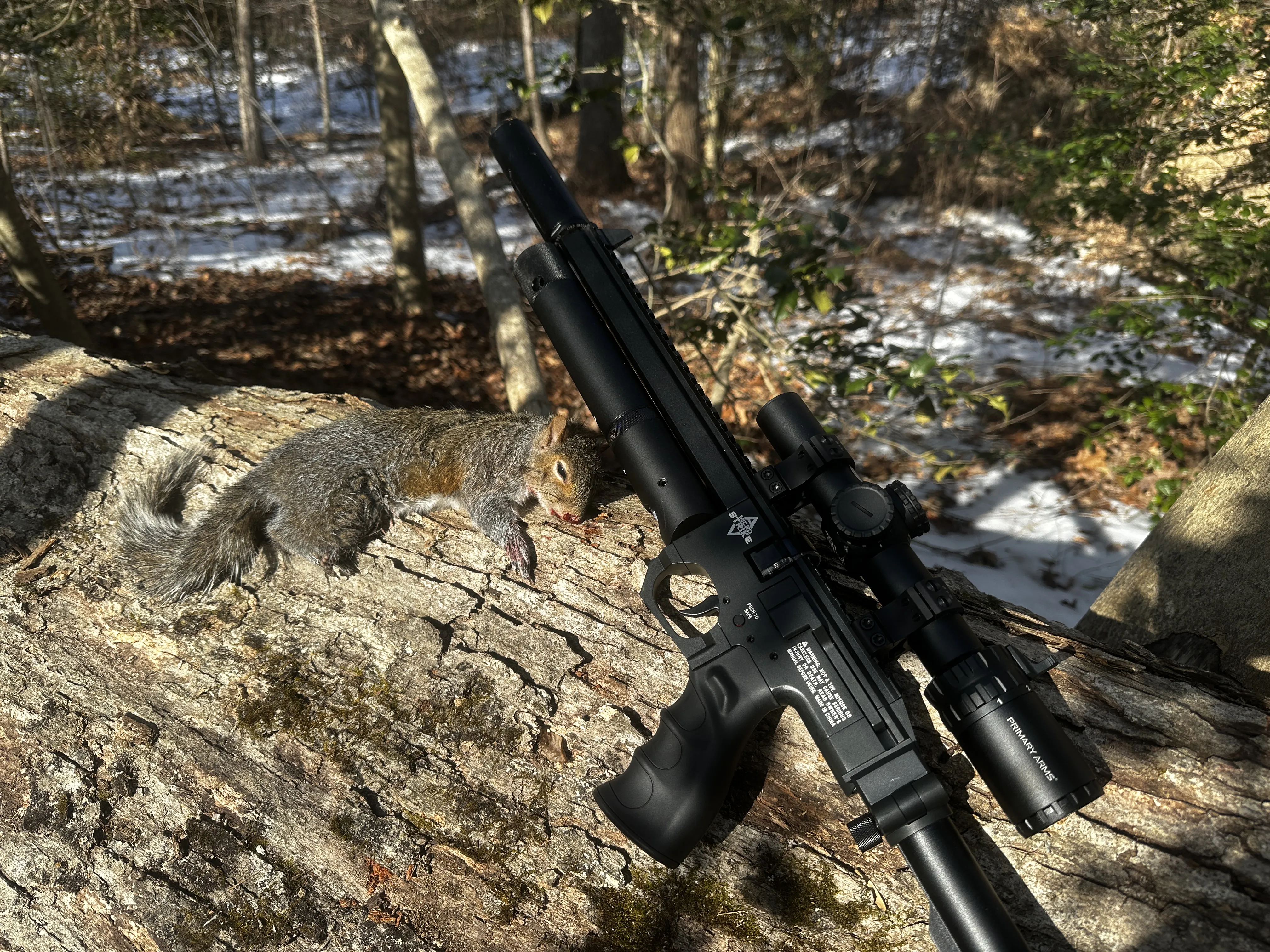 Chasse avec la carabine à air comprimé Air Venturi Microstrike PCP. 