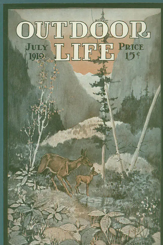 La couverture de 1919 de la vie en plein air
